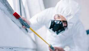 Best Residential Pest Control  in North Hobbs, NM